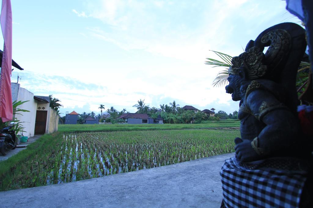 Pondok Buda Merta Ubud Exterior foto