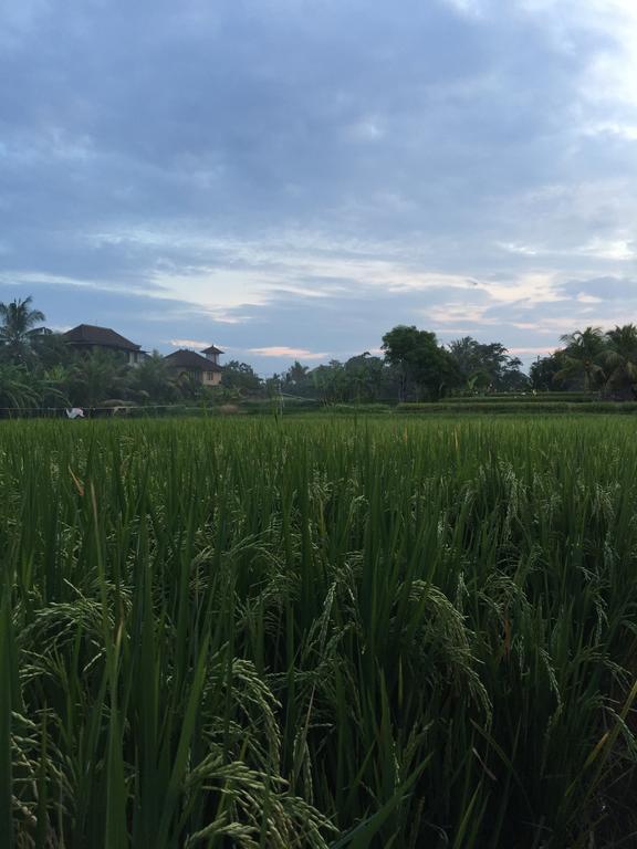 Pondok Buda Merta Ubud Exterior foto